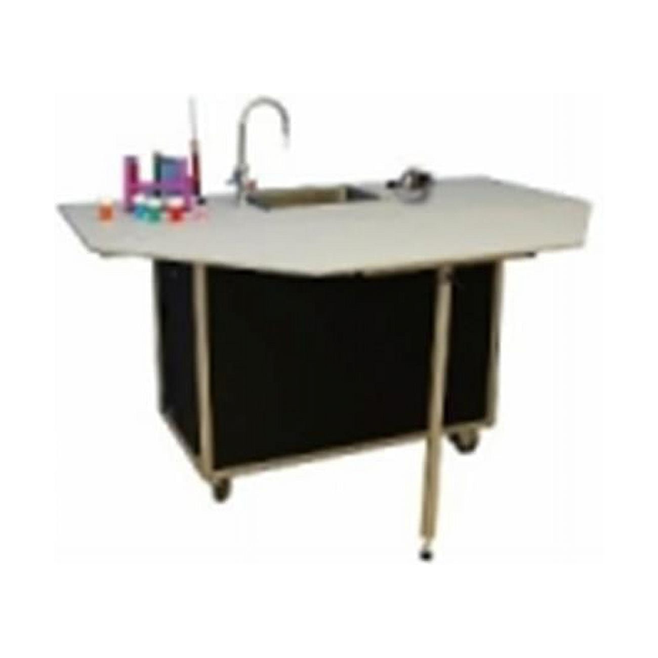 Portable Science Lab Workstation - Walmart.com