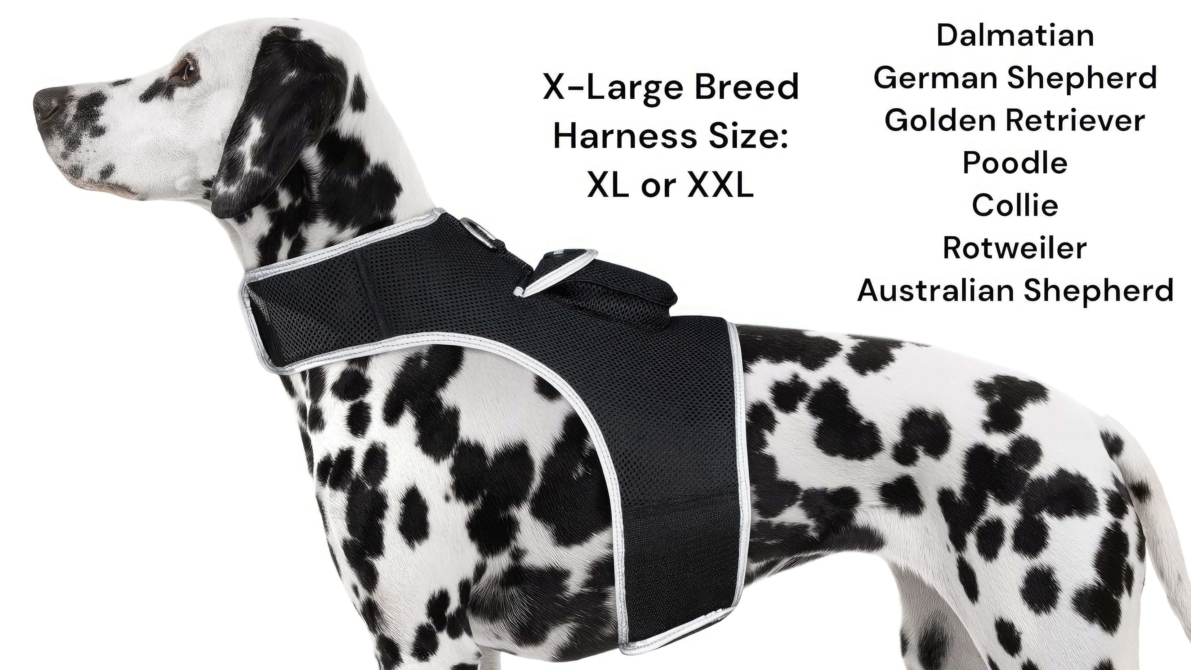 Portable Security System GPS Pet Tracking Collars for Hunting Dogs Size