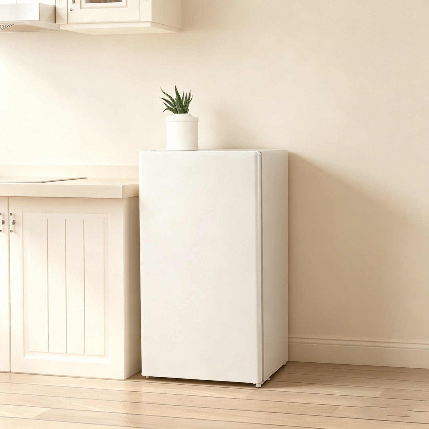 Portable Skincare Fridge