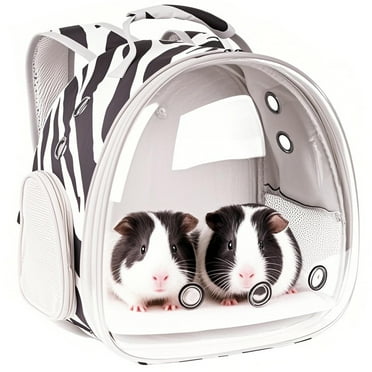 Portable Small Animal Carrier for Guinea Pig Bird Rabbit Turtle ...