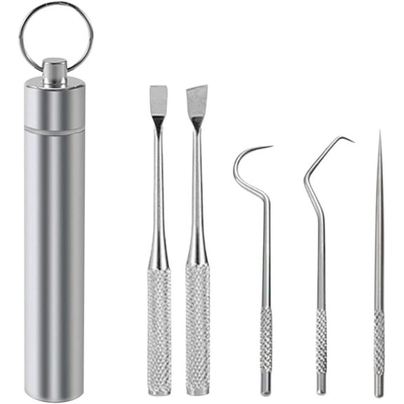 Portable Stainless Steel Pocket Set Reusable Metal Toothpicks, 304 Metal Tooth Scraper Dental Picks Hooks Cleaning Kit with Toothpicks Holder for Outdoor Camping Traveling (5PC)