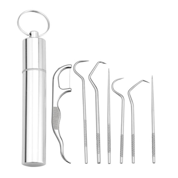 Portable Stainless Steel Toothpicks Set Reusable Metal Tooth Cleaning Tool Kit for Outdoor Picnic Camping Traveling