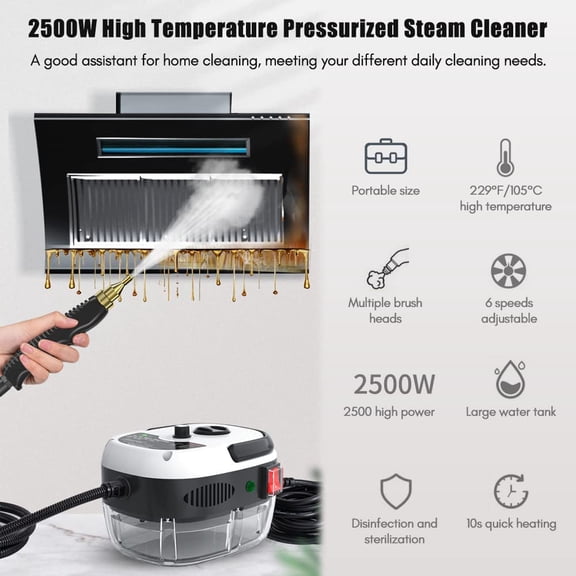 Portable Steam Cleaner, 2500W High Temperature Pressurized Steam Cleaner for Deep Cleaning Floors, Car, Upholstery, Bathroom, Windows and