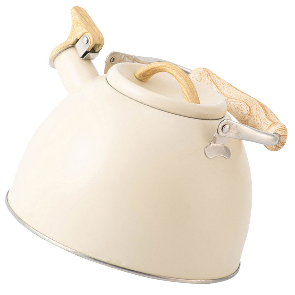 Portable Water Heater Enamel Teapot Buzzing Kettle Chinese Teapots