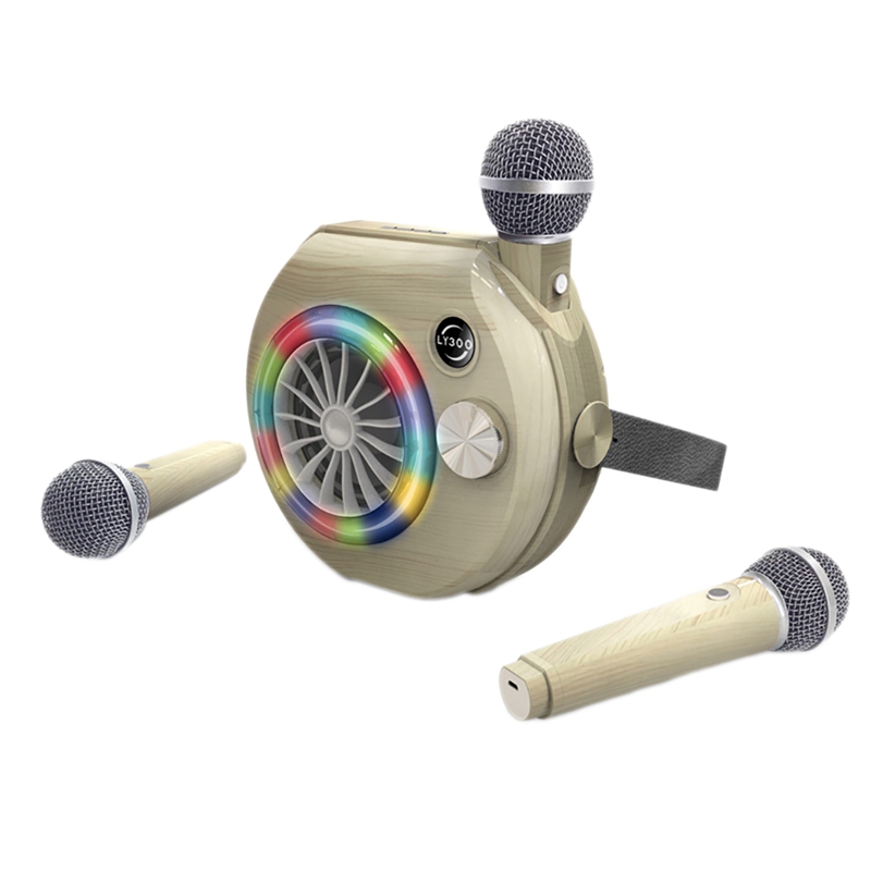 Portable Wireless Bluetooth Microphone with Two Wireless Mic Portable