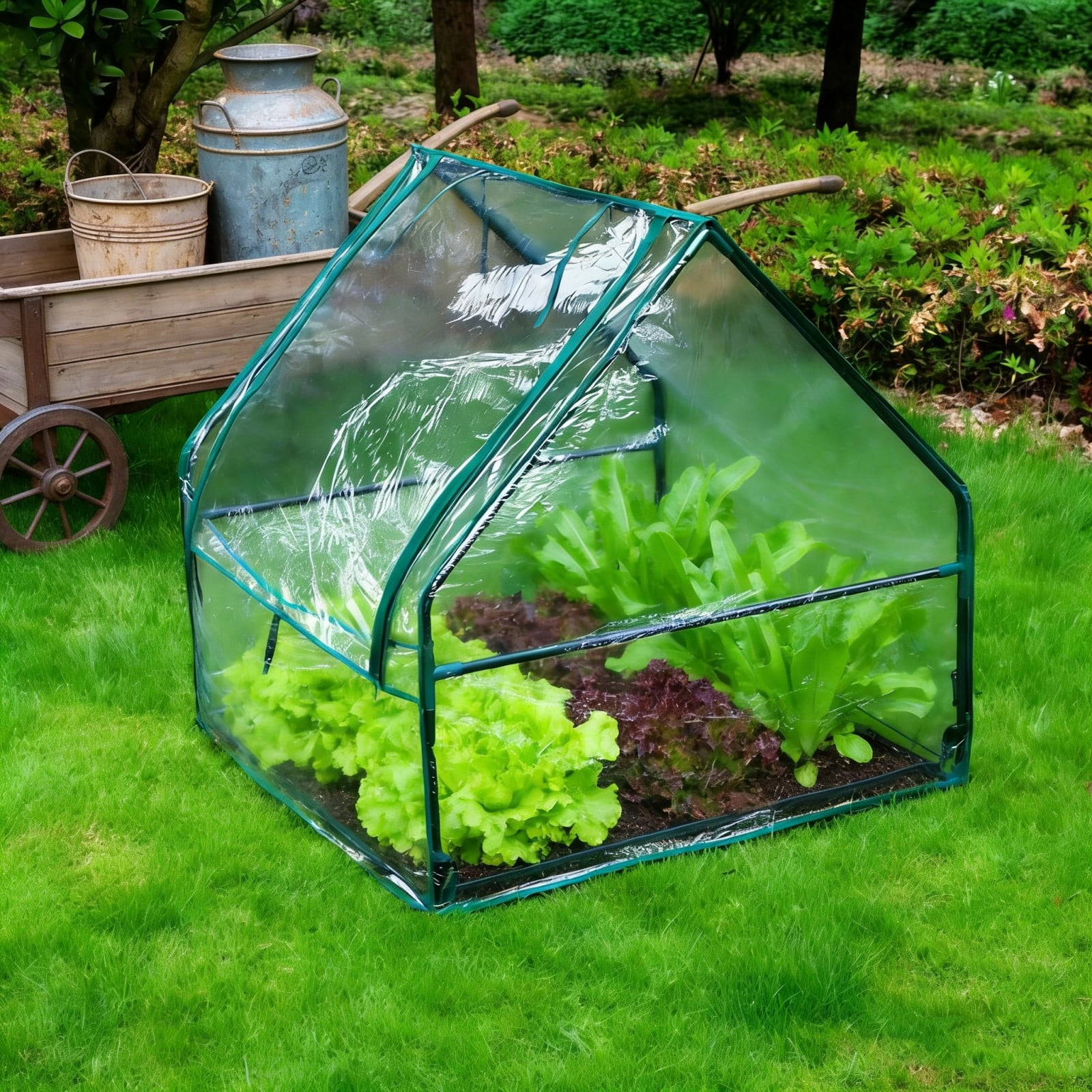 Portable mini greenhouse for plants, clear walk in garden grow tent, 36 inch plastic Greenery protection from frost for herbs flowers patio yard