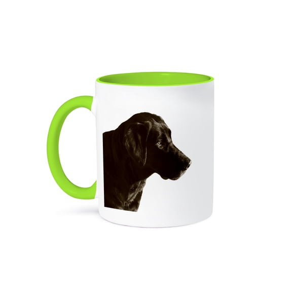 3dRose, Portait Of A Chocolate Lab, 15oz Two-Tone Green Mug