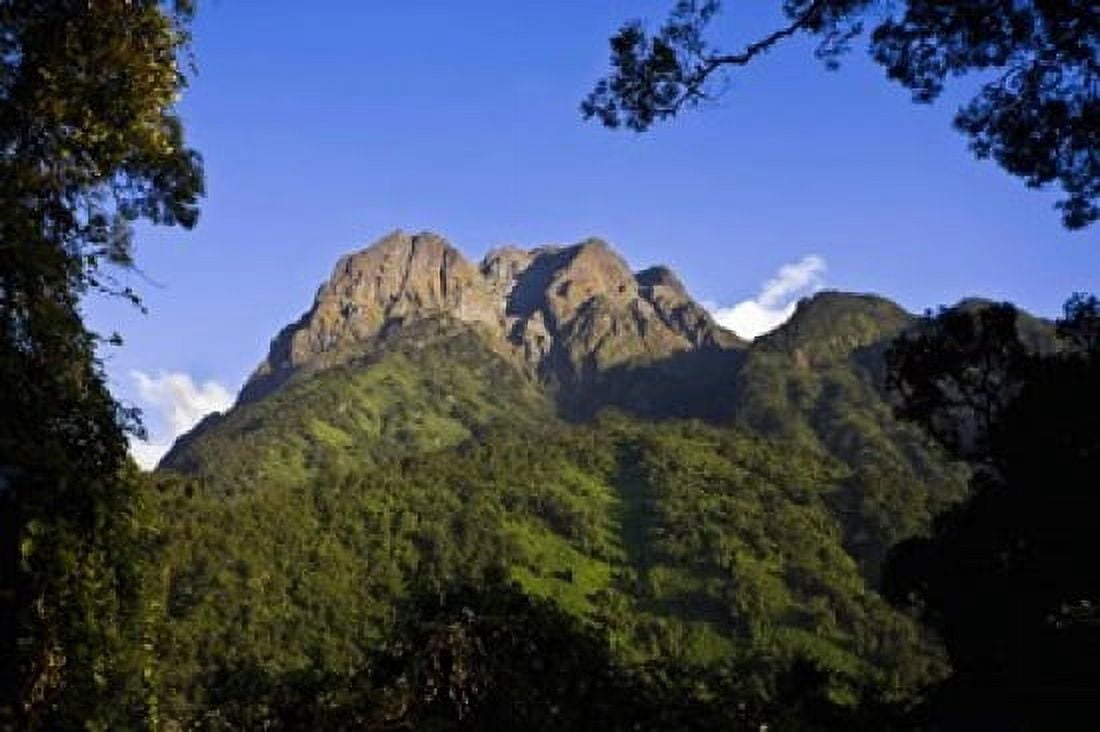 Portal Peaks in the Rwenzori Uganda Canvas Art - Martin Zwick DanitaDelimont (38 x 25)