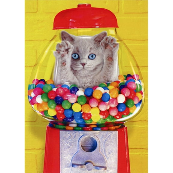 Portal Publications Cat Inside Bubble Gum Machine Funny Birthday Card