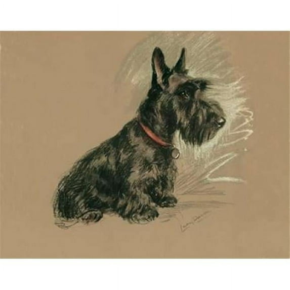 Porter Design PDXLD08SMALL Scottish Terrier Nanette Poster Print by Lucy Dawson, 10 x 12 - Small