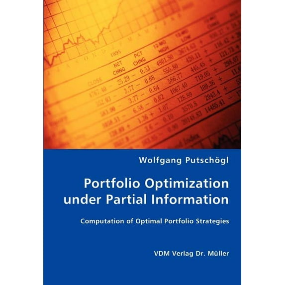 Portfolio Optimization under Partial Information (Paperback)