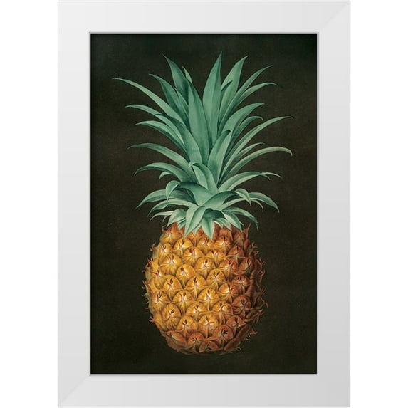 Portfolio, Wild Apple 17x24 White Modern Wood Framed Museum Art Print Titled - Vintage Pineapple II