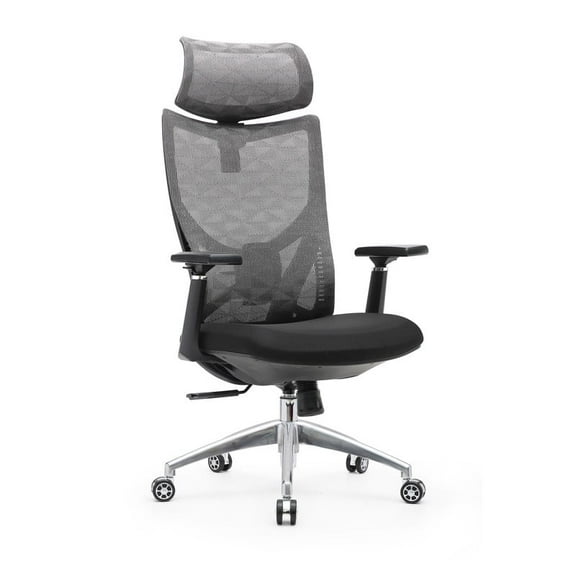 Porthos Home Behnam Mesh Ergonomic Office Chair with Aluminum Roller Base