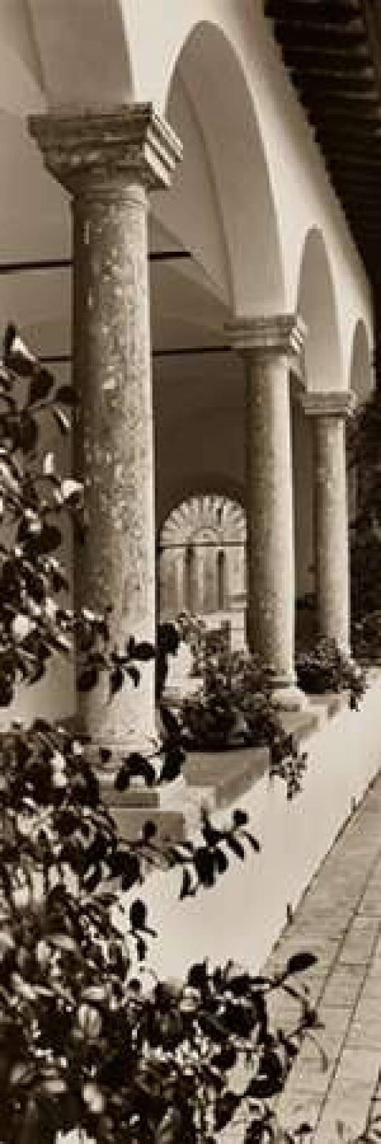 Portico Toscana Canvas Art - Alan Blaustein (8 x 24)