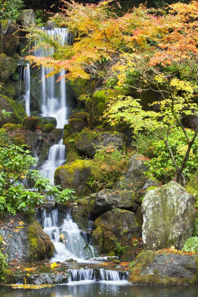 Portland Japanese Garden Portland Oregon Usa Canvas Art - Craig Tuttle Design Pics (24 x 38)