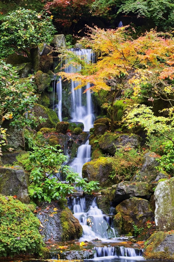 Portland Oregon United States Of America A Waterfall In The Portland Japanese Garden In Autumn Canvas Art - Craig Tuttle Design Pics (12 x 19)