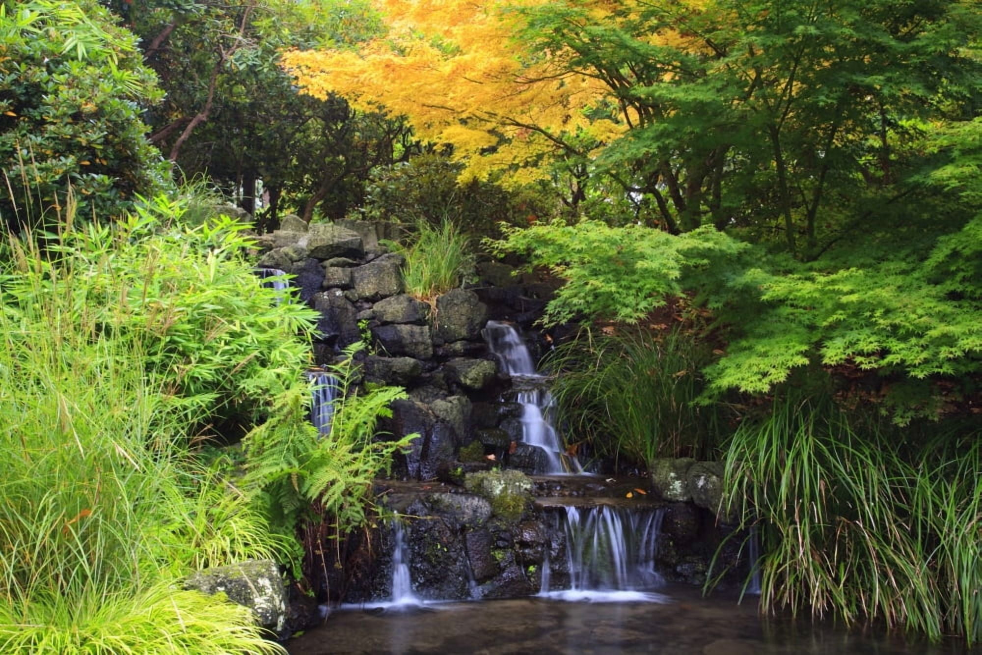 Portland Oregon United States Of America Waterfalls In Crystal Springs Rhododendron Garden Canvas Art - Craig Tuttle Design Pics (19 x 12)