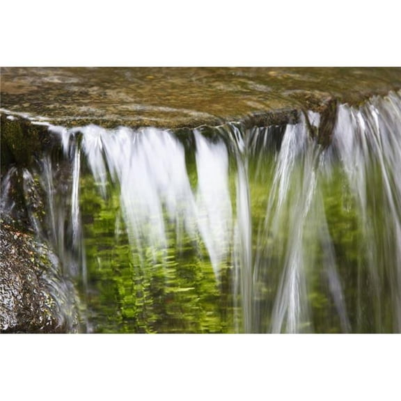 Portland - Oregon - United States of America - A Cascade At Crystal Springs Rhododendron Gardens Poster Print