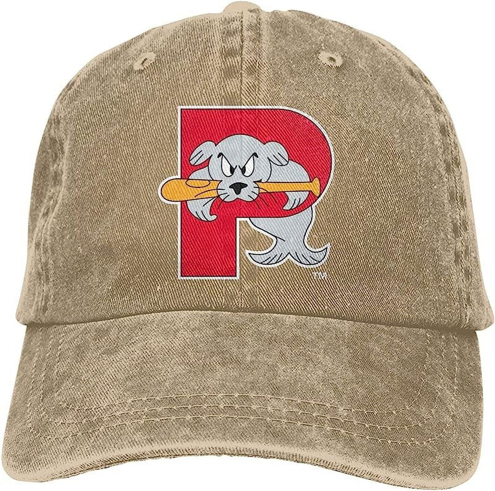 Portland sea dogs hat cheap