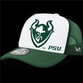 thumbnail image 1 of Portland State University Vikings Jumbo College Caps, Forest, 1 of 1
