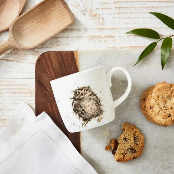 Portmeirion Royal Worcester What a Hoot Owl Mug Single