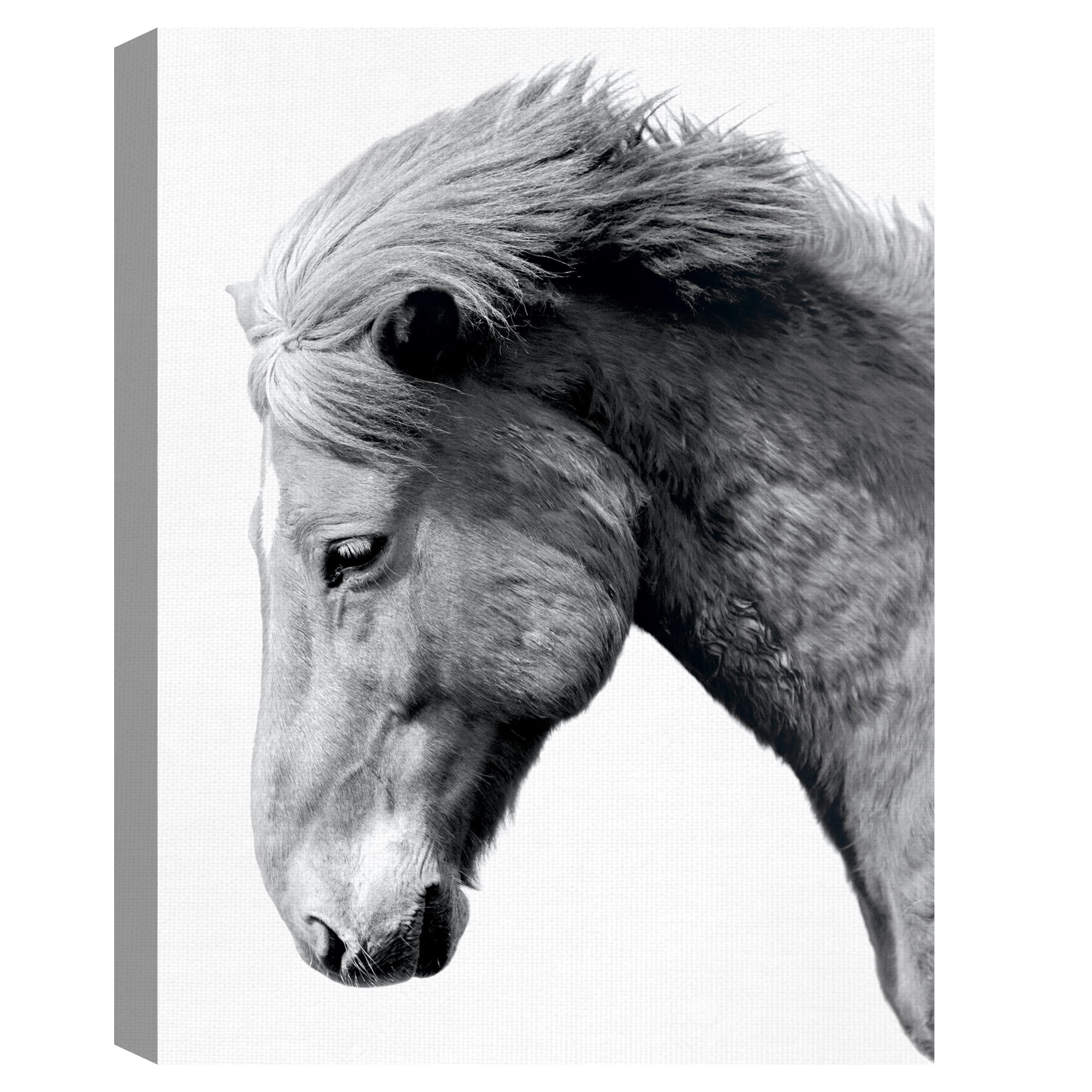 Portrait Gaze by Irene Suchocki Canvas Art Print