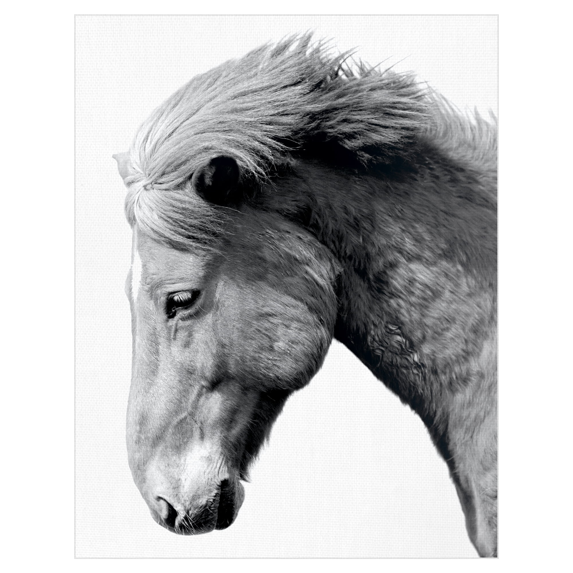 Portrait Gaze by Irene Suchocki Horse Photo Canvas Art