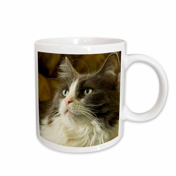 3drose, Portrait of a Cat, Looking up Intently Curious., Pr, 11oz Mug