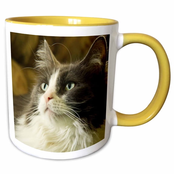 3drose, Portrait of a Cat, Looking up Intently Curious., Pr, 15oz Two-tone Yellow Mug