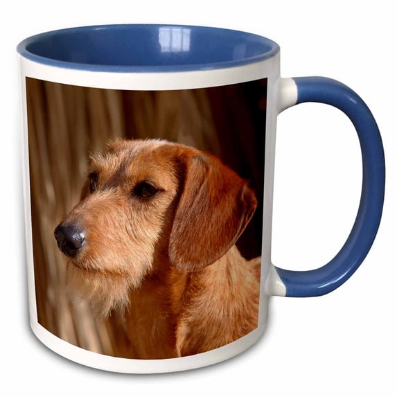 3drose, Portrait of a Dachshund, 15oz Two-tone Blue Mug
