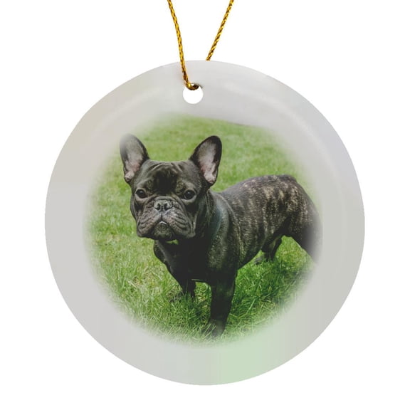 3drose, Portrait of a French Bulldog Also Known as the Frenchie., Circle Porcelain Ornament