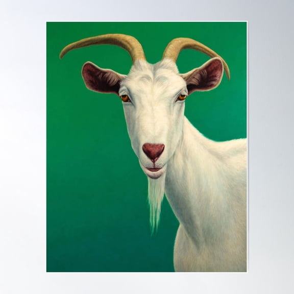 Portrait Of A Goat Poster Wall Art, Modern Wall Decor For Living Room Bedroom, 8x12 UNFRAMED