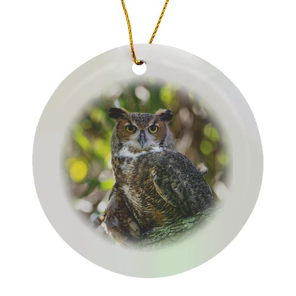 3drose, Portrait of a Great Horned Owl, Perched in a Tree, Circle Porcelain Ornament
