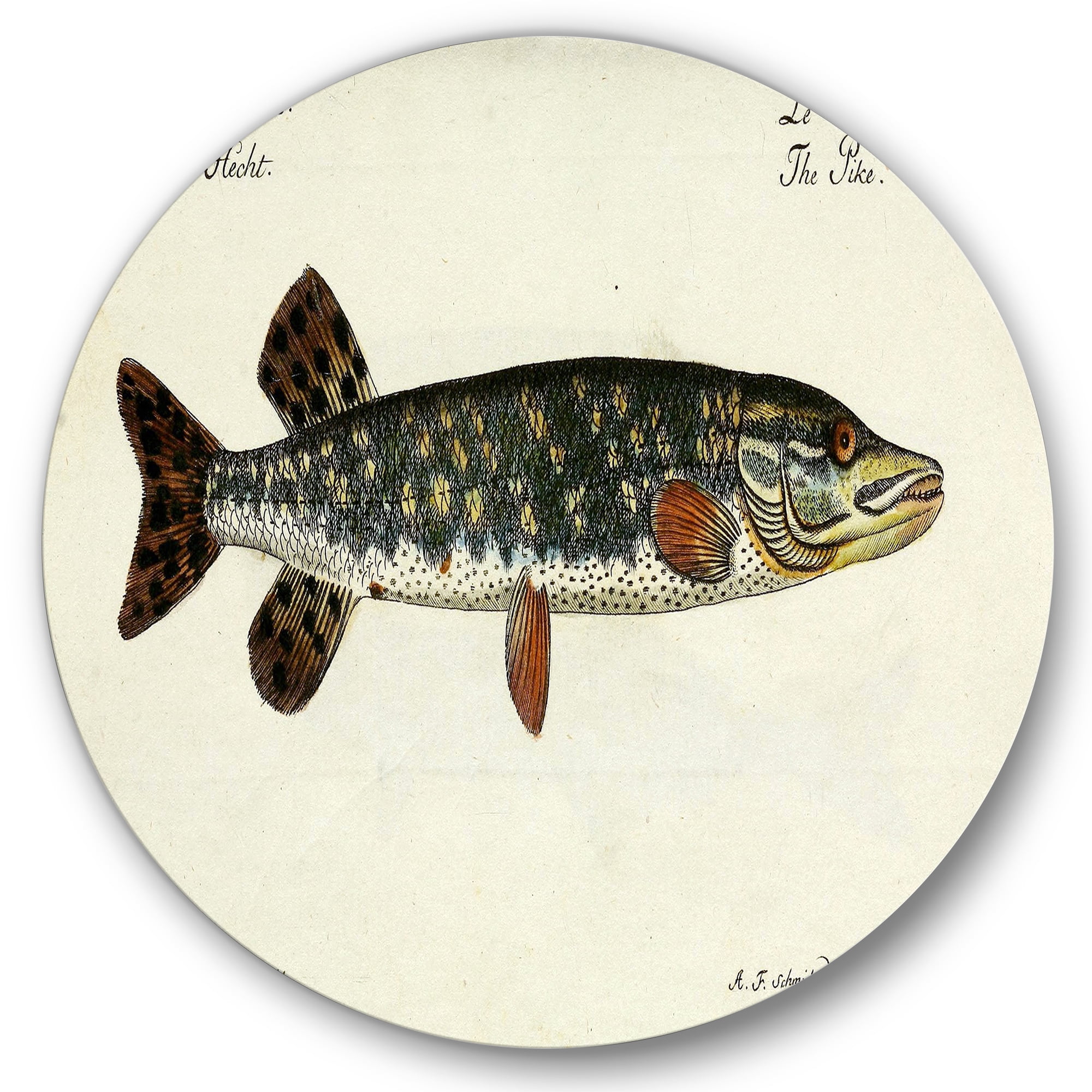 Portrait Of A Green Fish On Beige 11 in x 11 in Painting Art Prints, by Designart