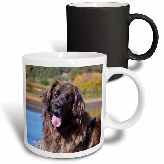 3drose, Portrait of a Leonberger., 11oz Magic Transforming Mug