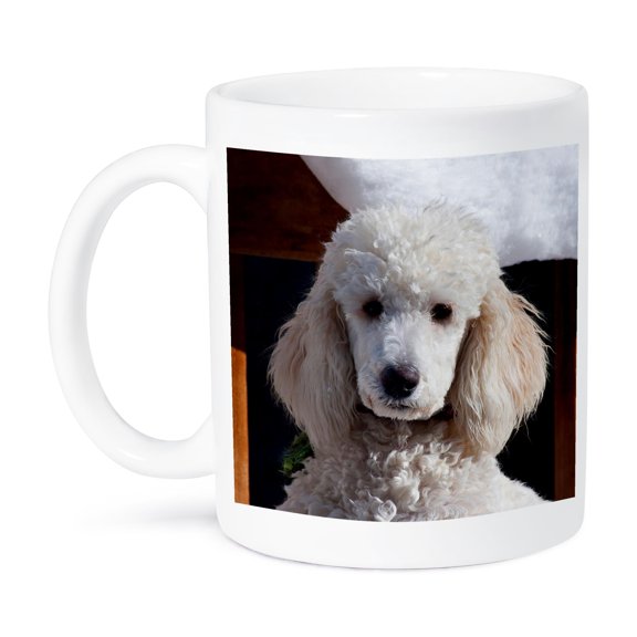 3dRose, Portrait of a Standard Poodle., 15oz Mug