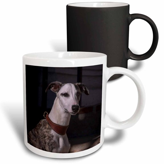 3drose, Portrait of a Whippet, Pr, 11oz Magic Transforming Mug