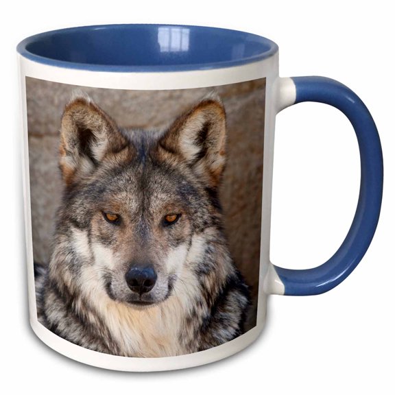 3drose, Portrait of an Adult Wolf - Na02 Bth0000 - Brenda Tharp, 15oz Two-tone Blue Mug