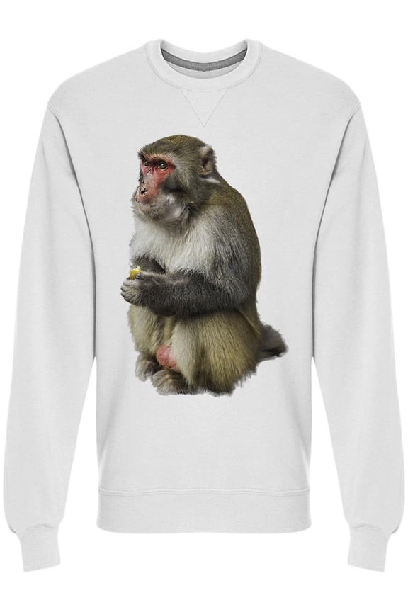 Portrait Of Coiled Monkey  Sweatshirt Men -Image by Shutterstock, Male Large
