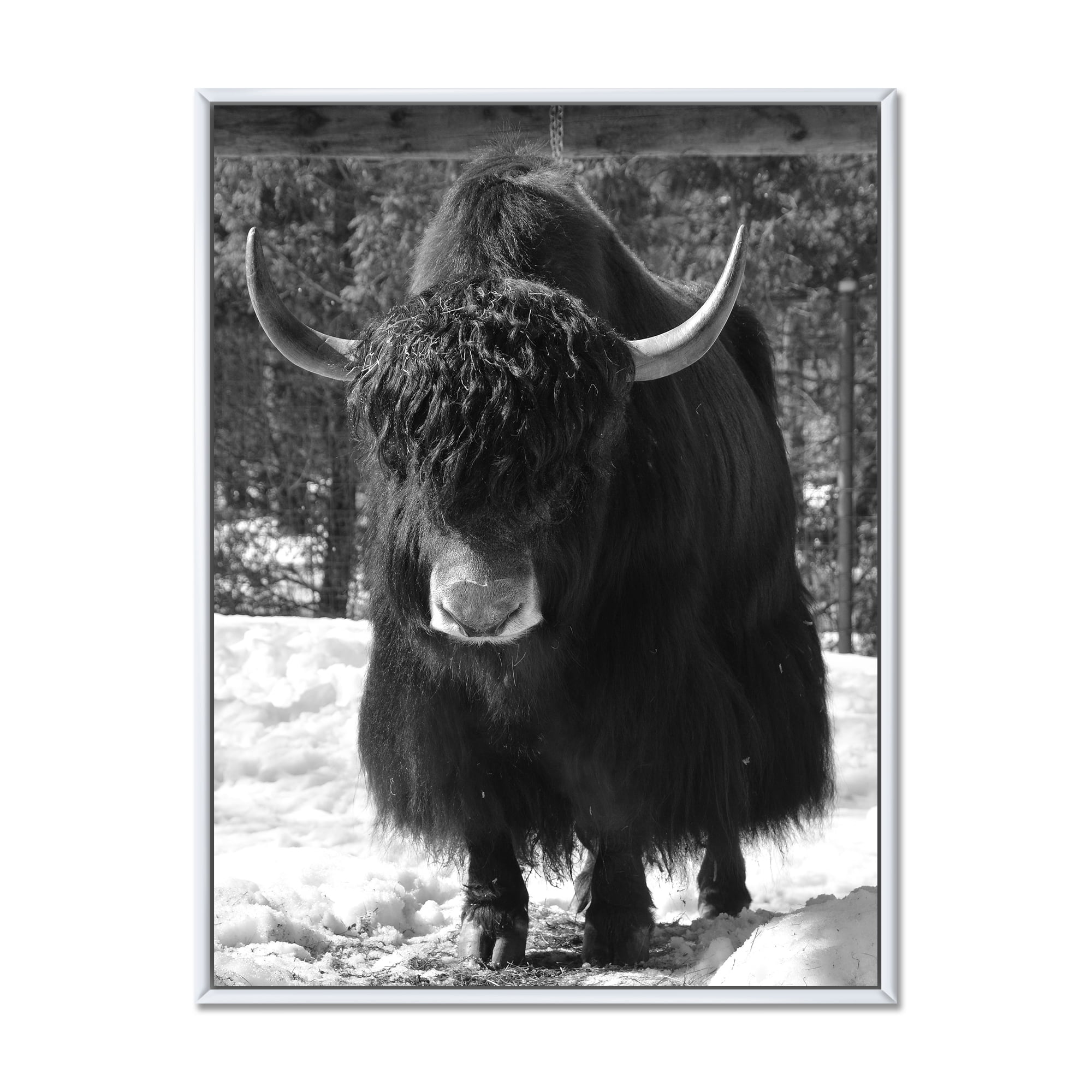Portrait Of Monochrome Wild Bull In Winter Forest I 12 in x 20 in Framed Photography Canvas Art Print, by Designart