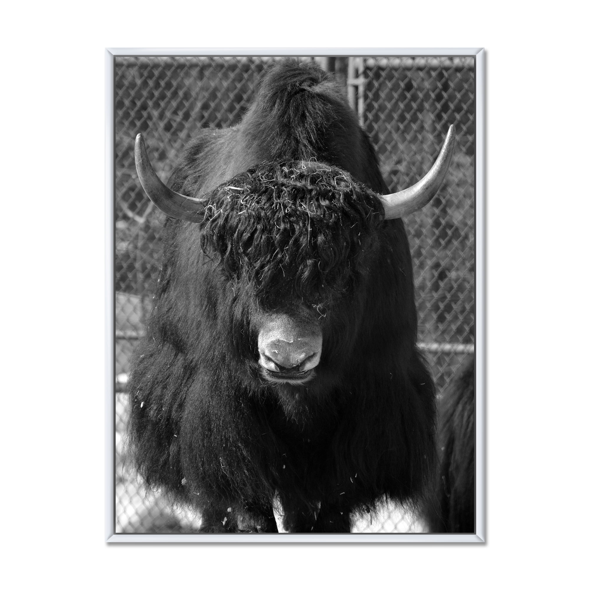 Portrait Of Monochrome Wild Bull In Winter Forest II 12" x 20" Framed Painting Canvas Art Print, by Designart
