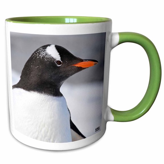 3drose, Portrait of the Head Gentoo Penguin, 11oz Two-tone Green Mug