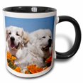 thumbnail image 1 of 3drose, Portrait of Two Great Pyrenees Dog - Us05 Zmu0359 - Zandria Muench Beraldo, 15oz Two-tone Black Mug, 1 of 6