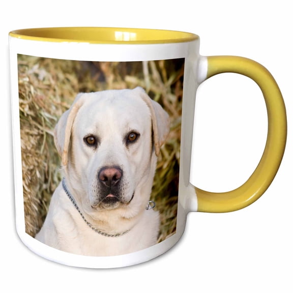 3drose, Portrait of Yellow Labrador Retriever Dog - Na02 Zmu0139 - Zandria Muench Beraldo, 15oz Two-tone Yellow Mug