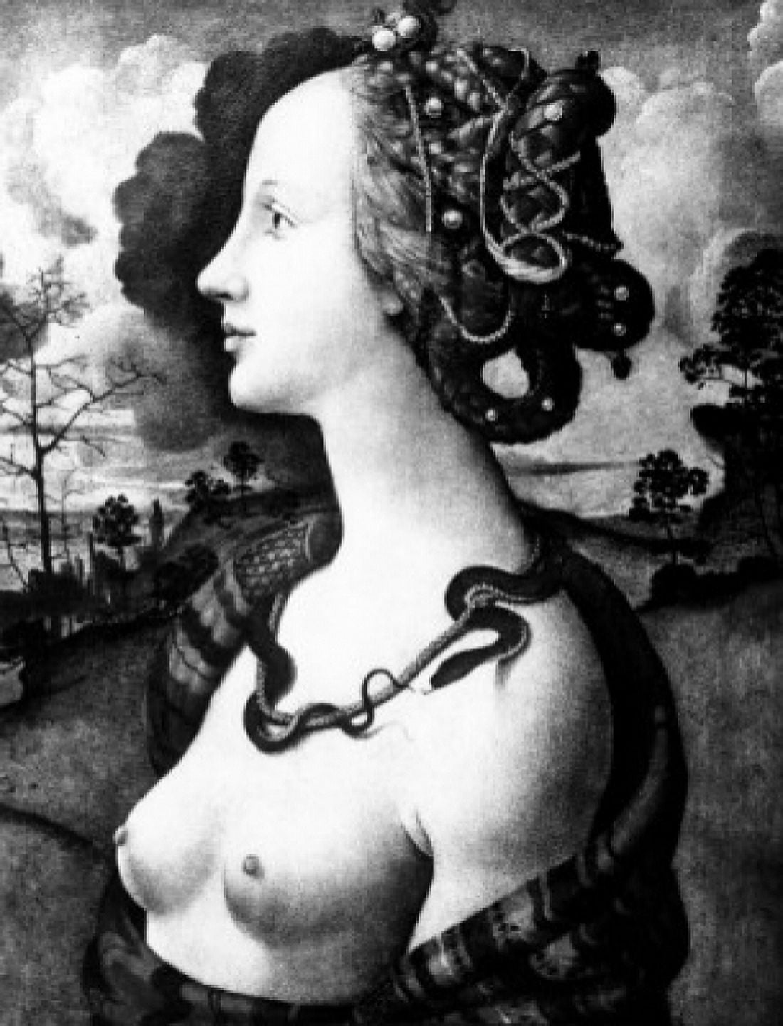 Portrait of Simonetta Vespucci by Piero di Cosimo oil on panel circa 1480 1462 1521 France Chantilly Musee Conde Canvas Art - Piero di Cosimo (24 x 36)