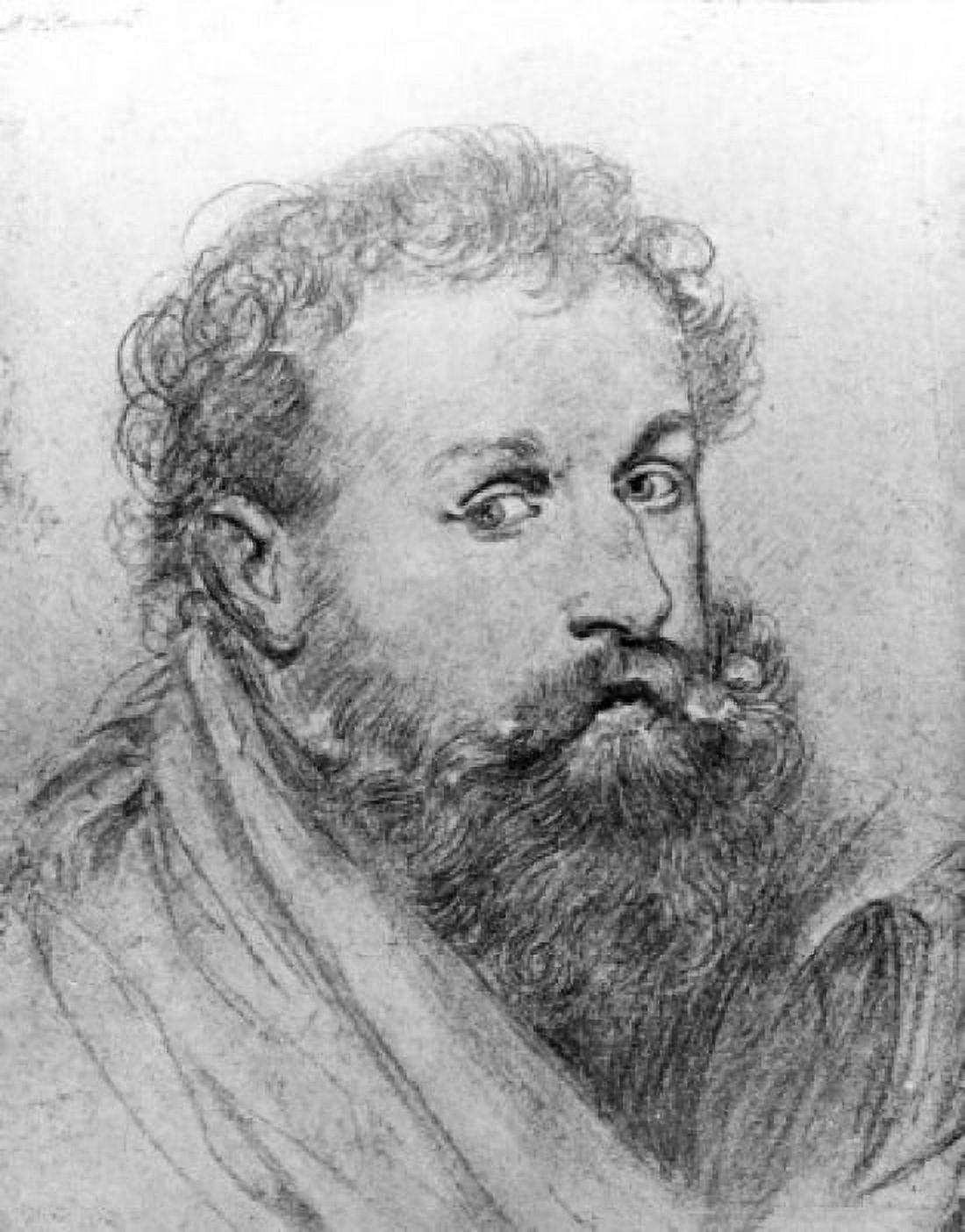 Portrait Study of Bearded Man circa 1604-1605 Austria Vienna Albertina Canvas Art - (18 x 24)