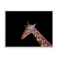 thumbnail image 1 of Portrait of A Giraffe On Black Background I 40 in x 30 in Framed Photography Canvas Art Print, by Designart, 1 of 5