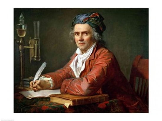 Portrait of Alphonse Leroy 1783 Canvas Art - Jacques-Louis David (24 x 18)