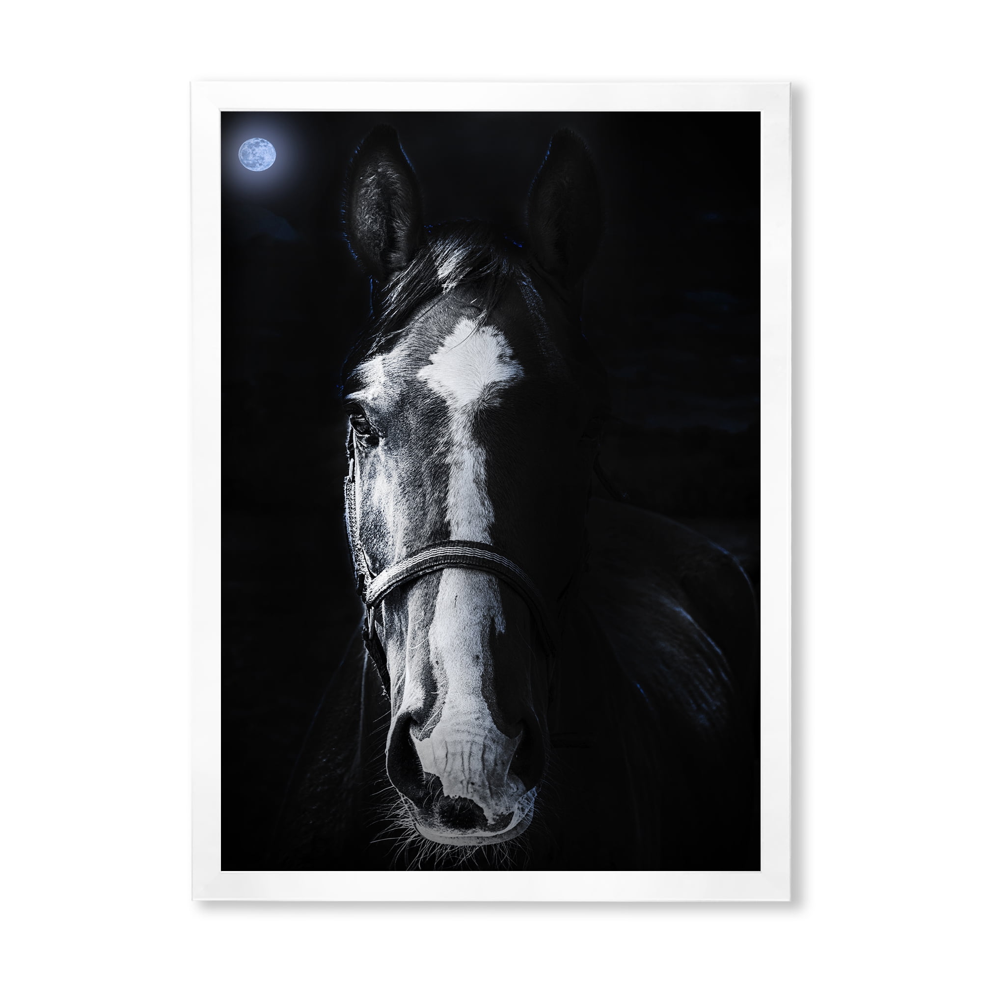 Portrait of Horse Staring Sinister 16 in x 32 in Framed Photography Canvas Art Print, by Designart