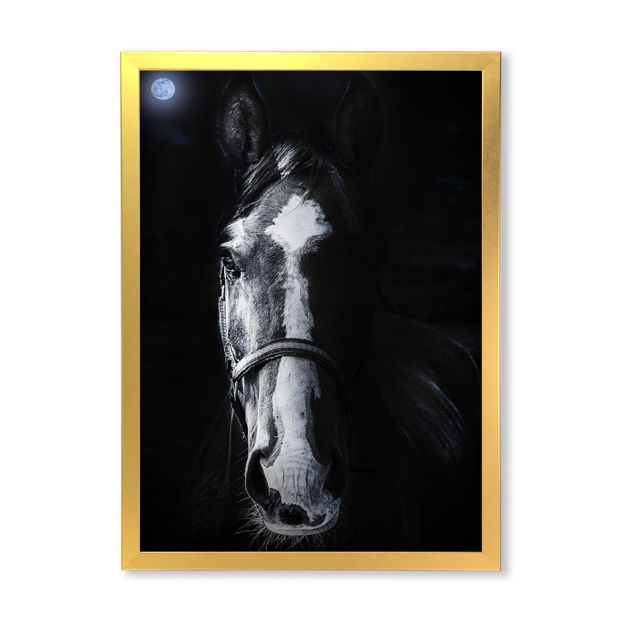 Portrait of Horse Staring Sinister 16 in x 32 in Framed Photography Canvas Art Print, by Designart